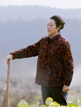 一線(xiàn)明星代言費(fèi)用、一線(xiàn)明星王麗云代言費(fèi)用、王麗云經(jīng)紀(jì)人、王麗云經(jīng)紀(jì)公司
